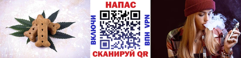 сколько стоит  ОМГ ОМГ   Canna-Cookies конопля  Невинномысск 