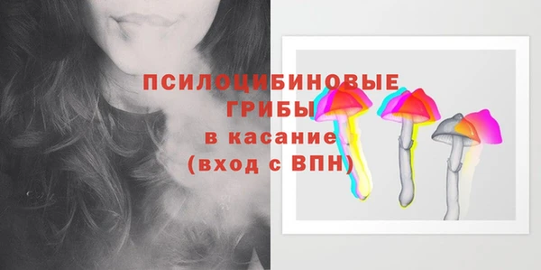 прущая мука Вяземский