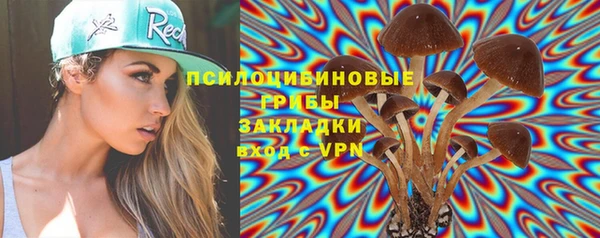 твердый Алзамай
