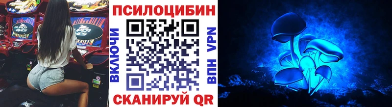 мега вход закладка Невинномысск Галлюциногенные грибы мицелий
